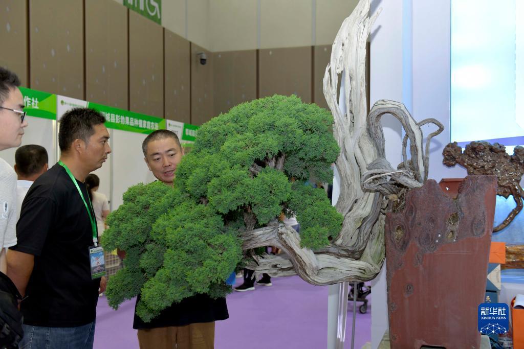 优胜客体育