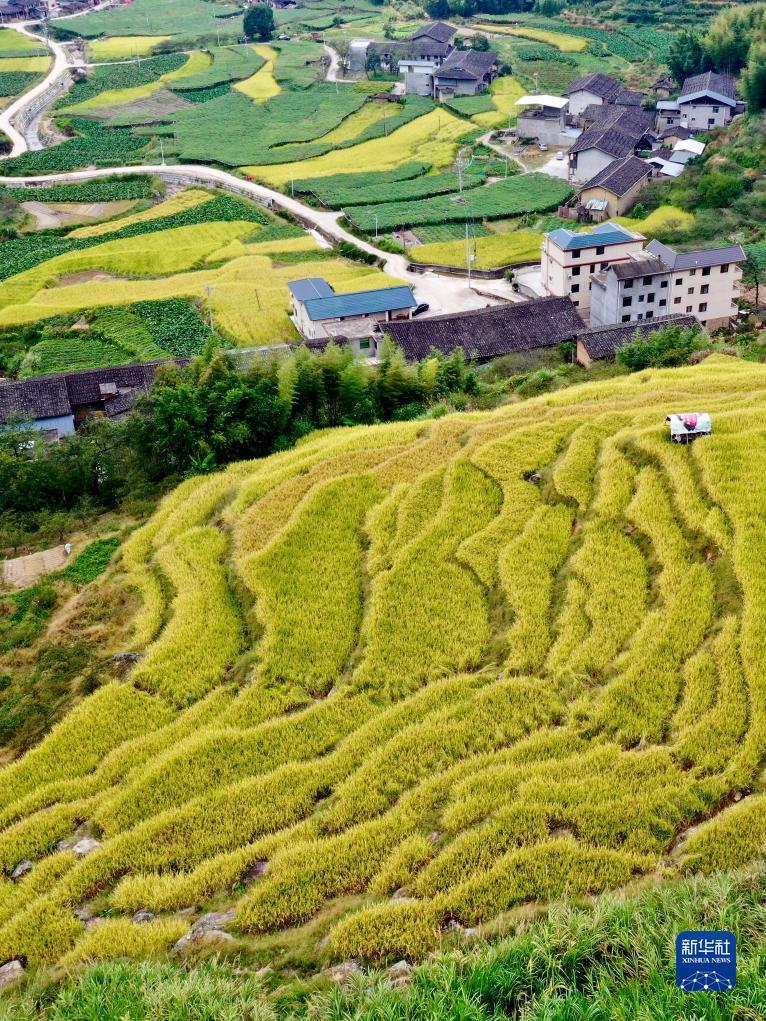 吉祥游戏注册