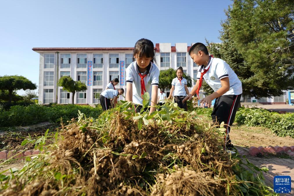摸摸鱼游戏下载