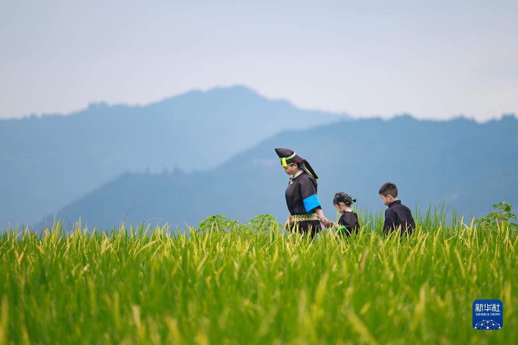 澳閠银河国际官方网站