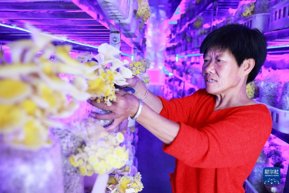 美高梅登陆中心