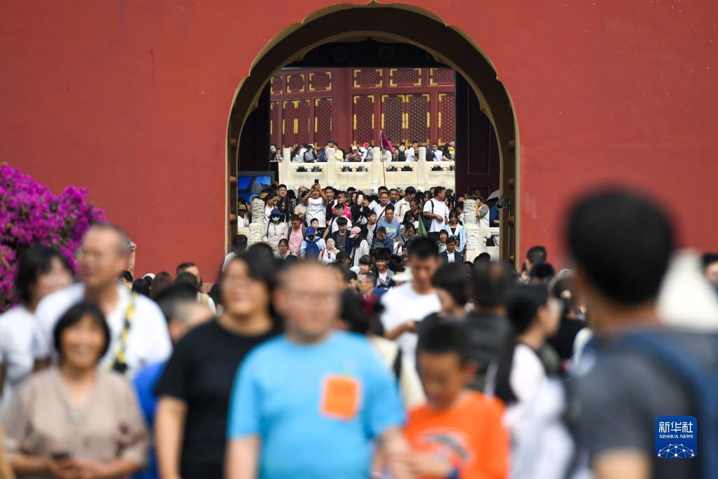 ag金龙珠视频