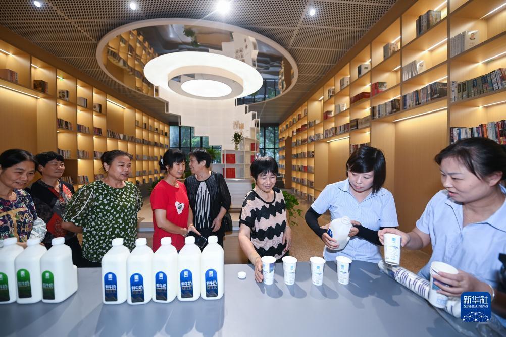 哈灵麻将技巧与概率