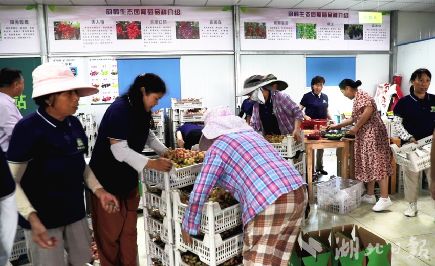 游戏厅赌币机大全